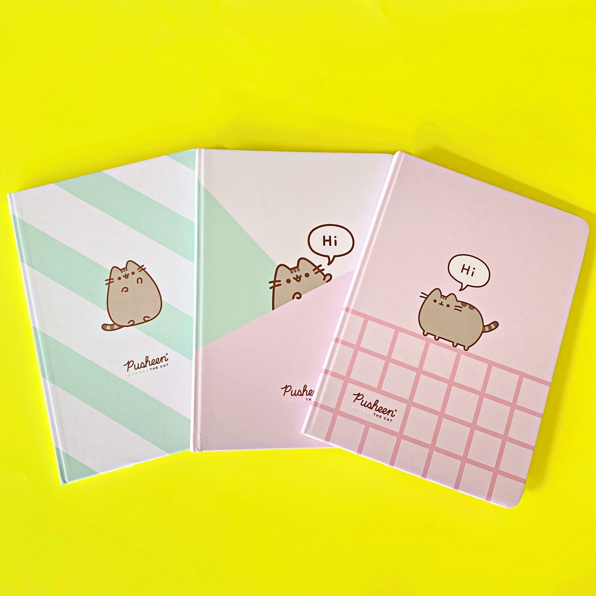 Pusheen 80 Yaprak Sert Kapaklı Ciltli Defter A5