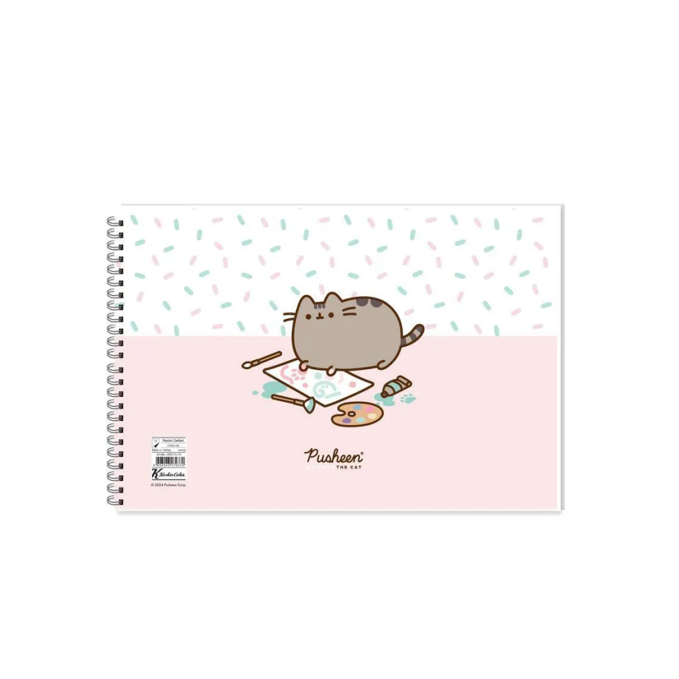 Pusheen Resim Defteri 17x25 15 Yaprak