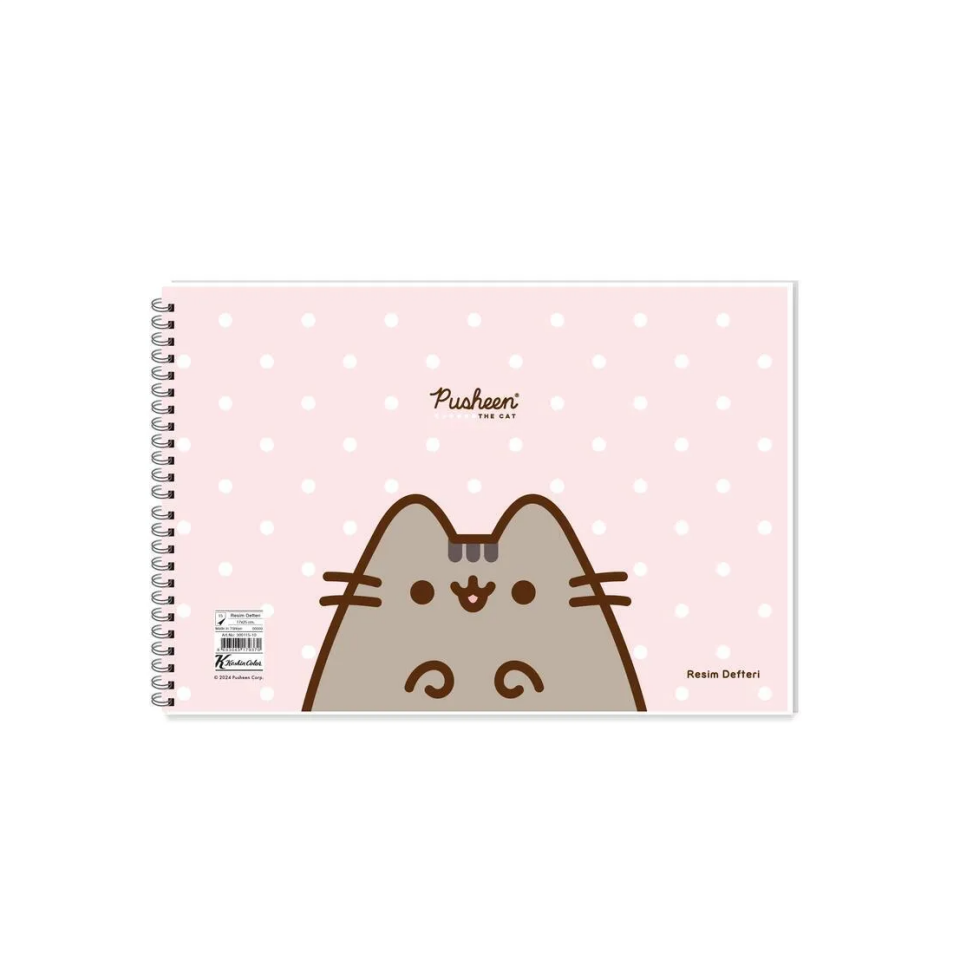 Pusheen Resim Defteri 17x25 15 Yaprak