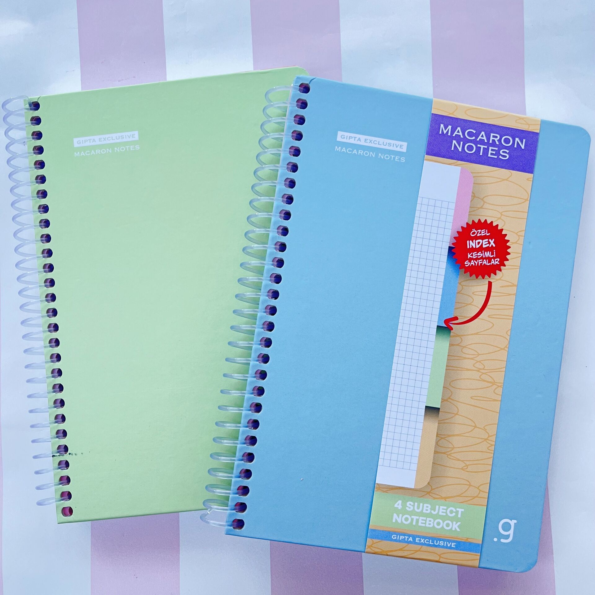 Gıpta Exclusive Macaron Kalın Kapak Çizgili 120 Yaprak Defter 17x24