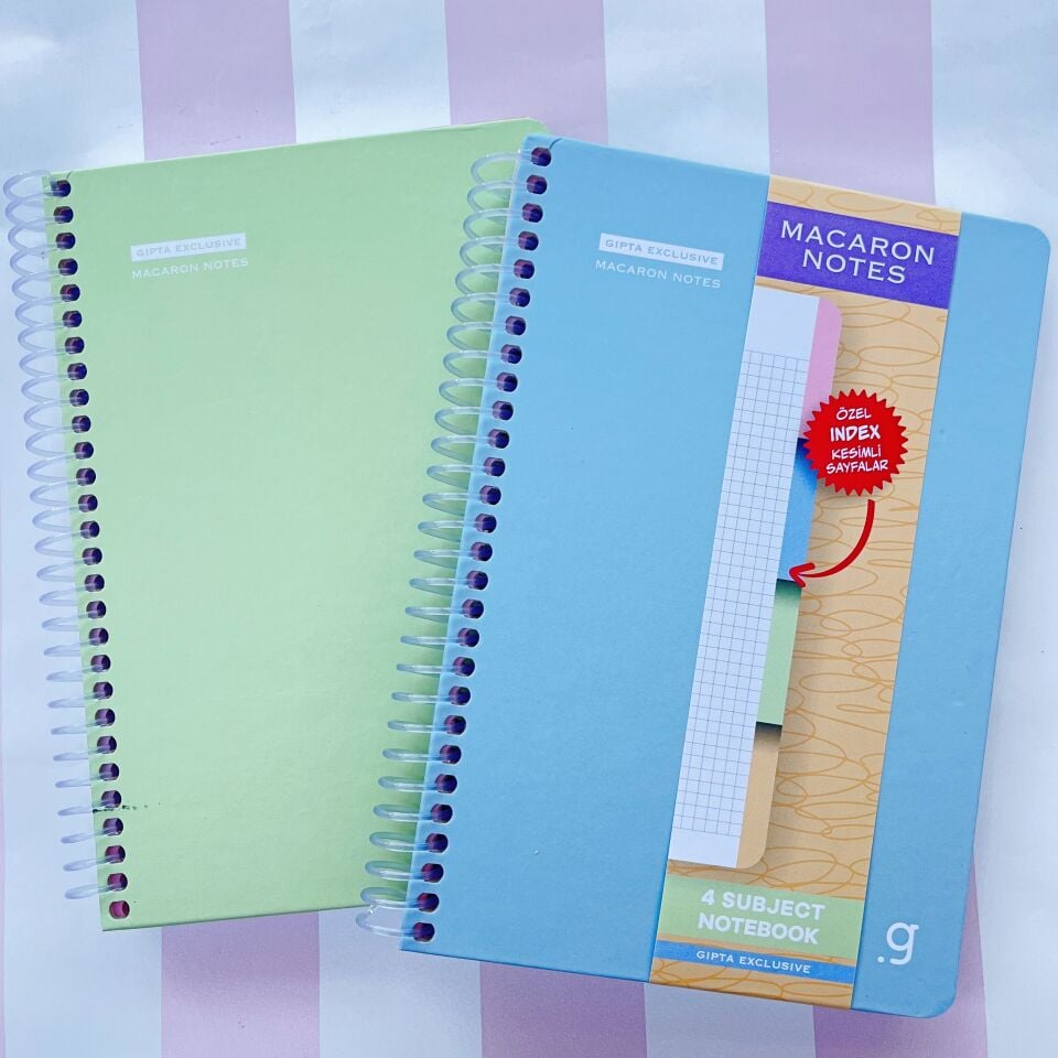 Gıpta Exclusive Macaron Kalın Kapak Çizgili 120 Yaprak Defter 17x24