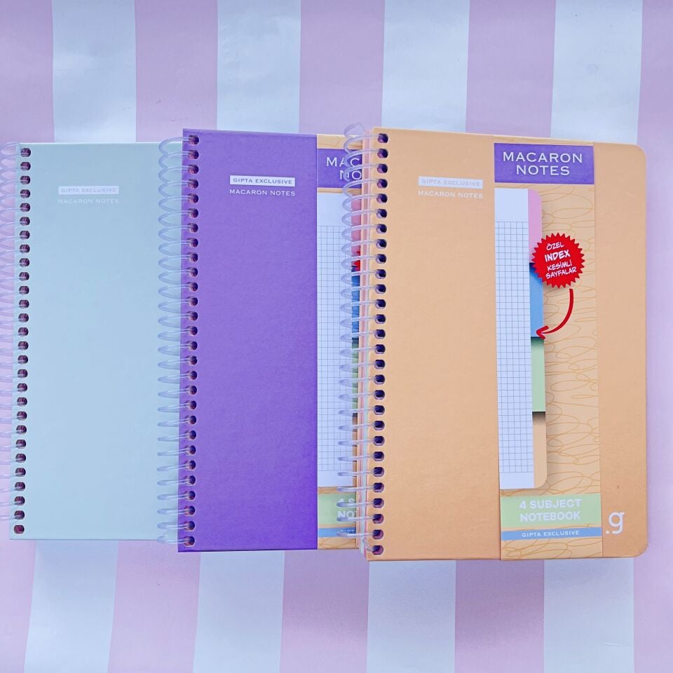 Gıpta Exclusive Macaron Kalın Kapak Çizgili 120 Yaprak Defter 17x24