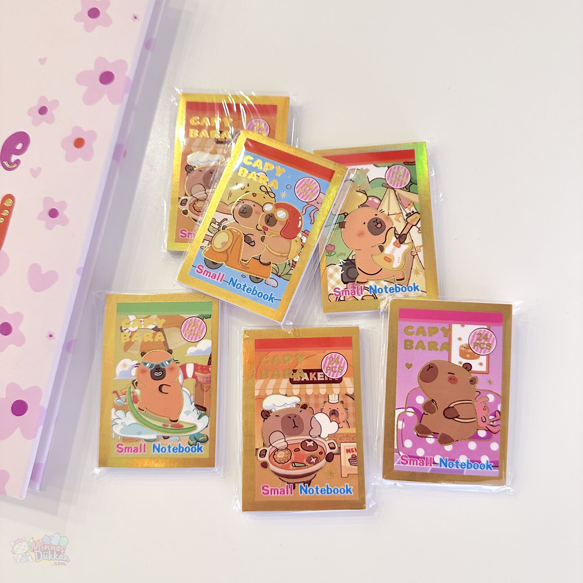 Sany/Capy Small Notebook Mini Sticker Defteri