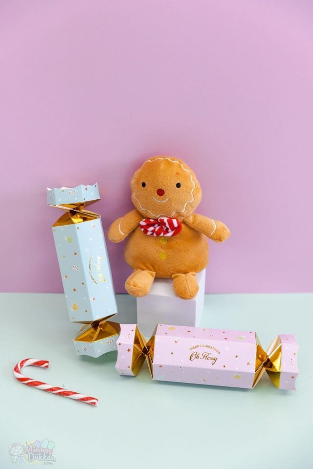 Oh Flossy Çocuk Doğal Yüz Boyama Seti - Bon Bon Blue