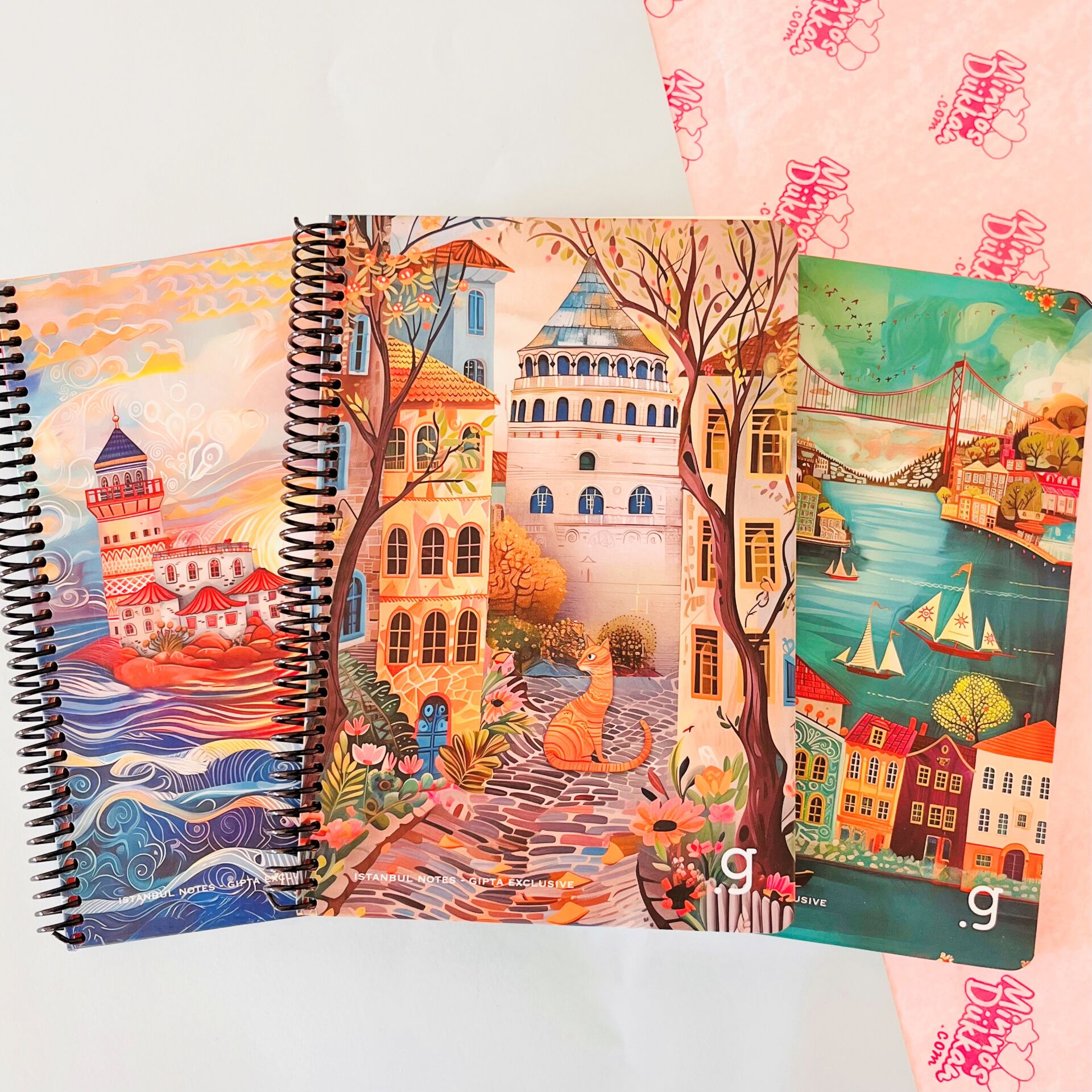 Gıpta İstanbul Notes Sert Kapak Spiralli 80 Yaprak Defter Çizgili 17x24