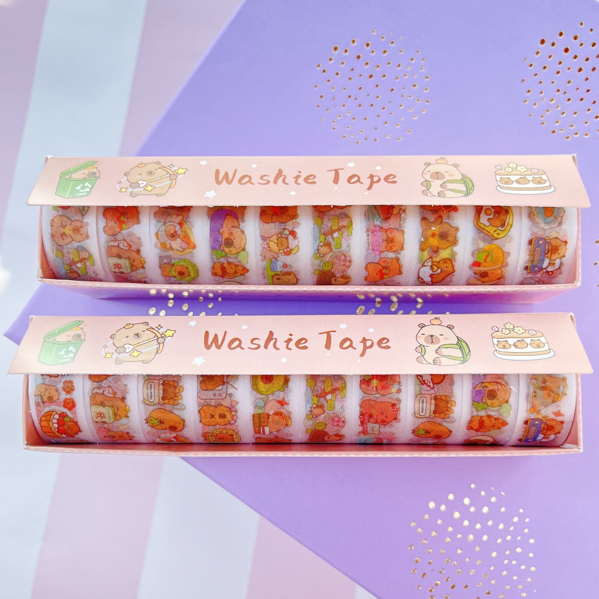 Capy Kutulu 10lu Washi Tape Bant