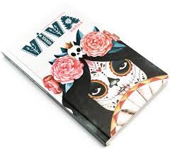 Viva Notes Sert Kapak 120 Yaprak Çizgili Defter 13x21