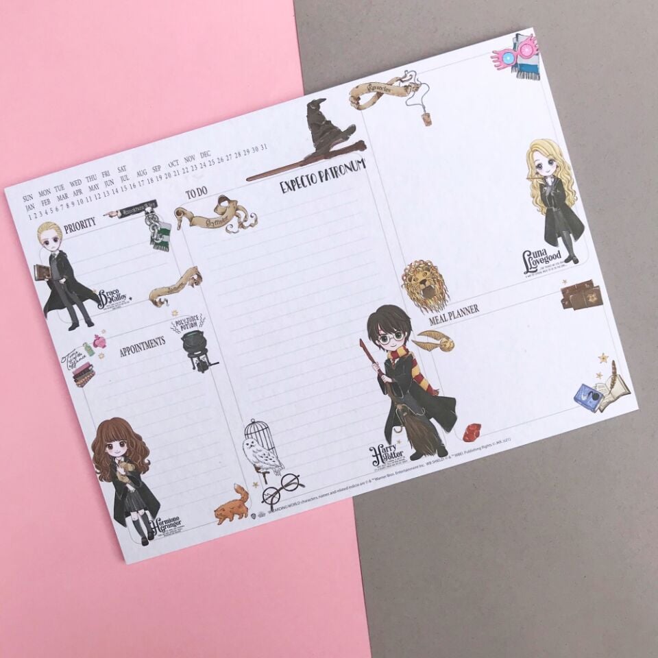 Harry Potter 27.5x20 Renkli Planlayıcı