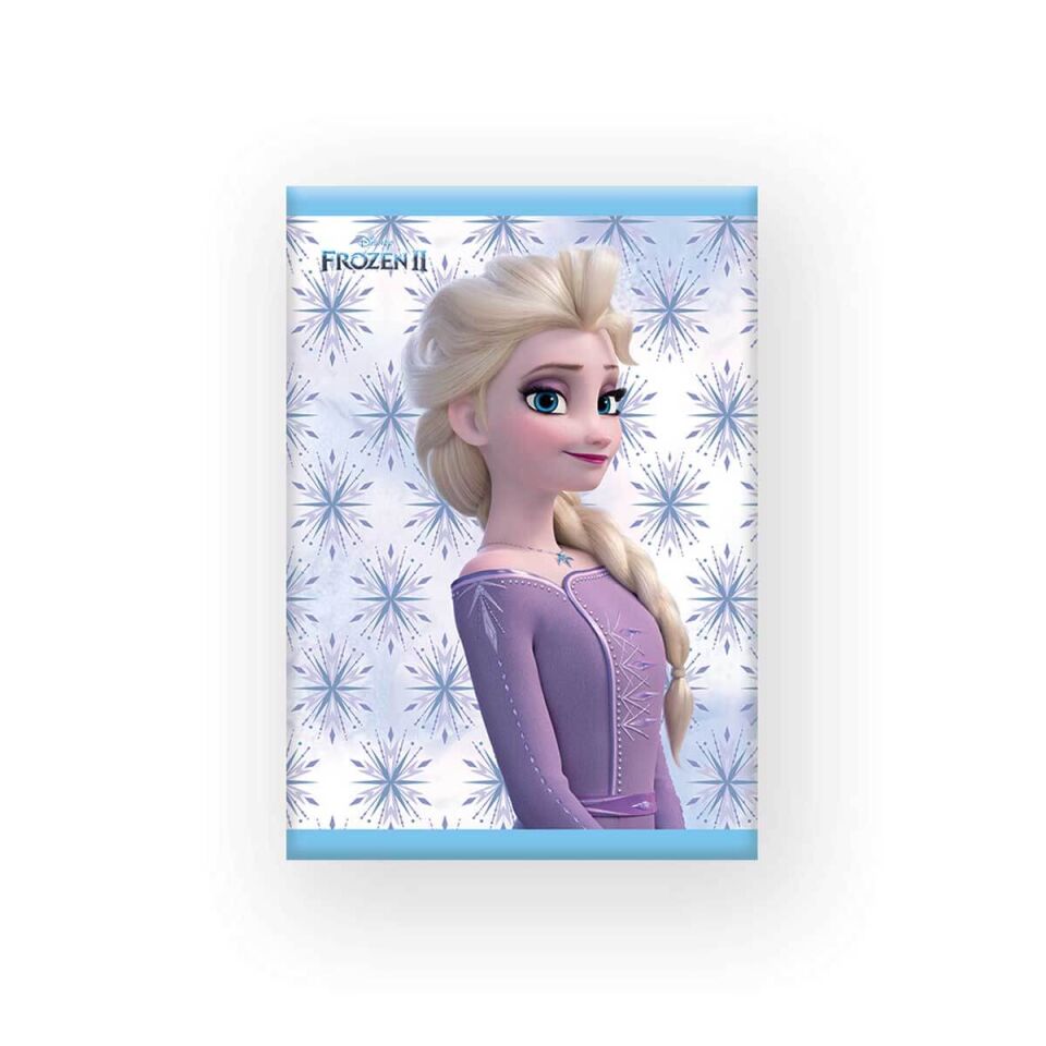 Frozen A4 40 Yaprak Kareli Defter