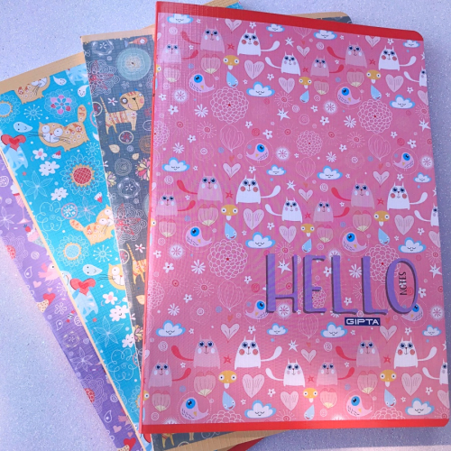 Hello Kedi Karton Kapak Kareli Defter