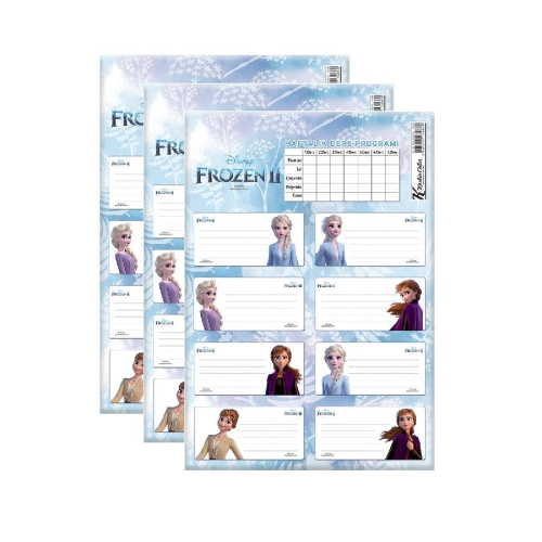 Frozen Ders Programlı 3x8 24lü Okul Etiketi Seti