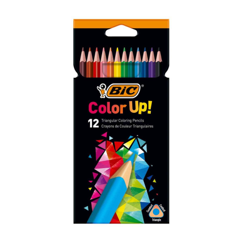 Bic Intensity 12 Renk Kuru Boya