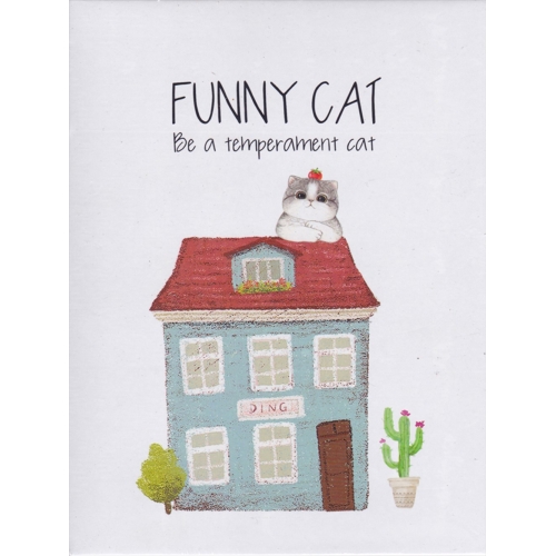 Funny Cat Kutulu Kilitli İçi Renkli Hatıra Defteri 