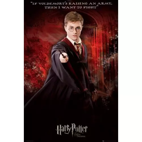 Harry Potter 5: Sihirli Dünyanın En Büyüleyici Macerası