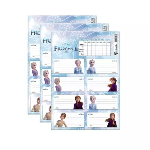 Frozen Ders Programlı 3x8 24lü Okul Etiketi Seti
