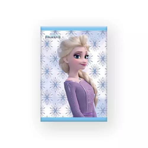 Frozen Kareli Defter A5 40 Yaprak